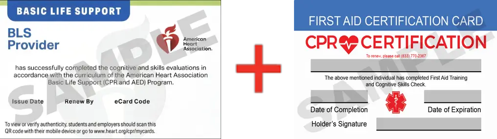 Sample American Heart Association AHA BLS CPR Card Certification and First Aid Certification Card from CPR Certification Kansas City